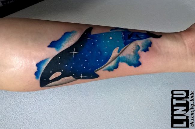 Tatuagem de baleia azul no antebraço 
