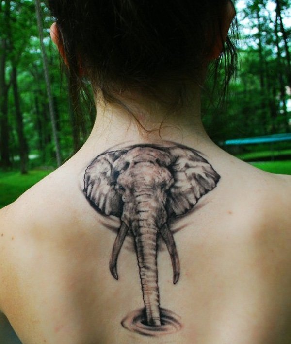 Projetos bonitos do Tattoo do elefante Vectorial minúsculo (67) 