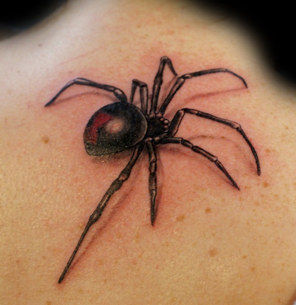 35 desenhos de tatuagem de aranha e idéias 3 