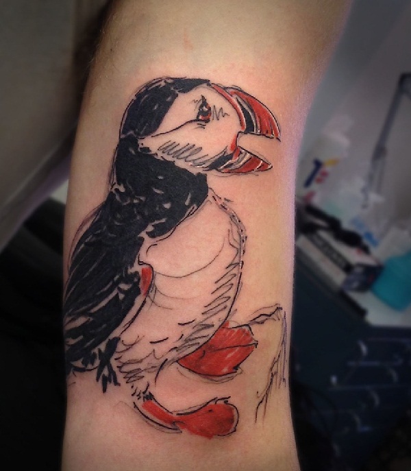 Esboço-tatuagens-ideaspuffin-bird-color-sketchy-no-braço-by-aygul-tattoo 