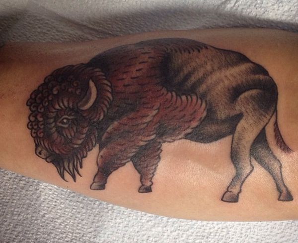 Tatuagem de búfalo no braço 