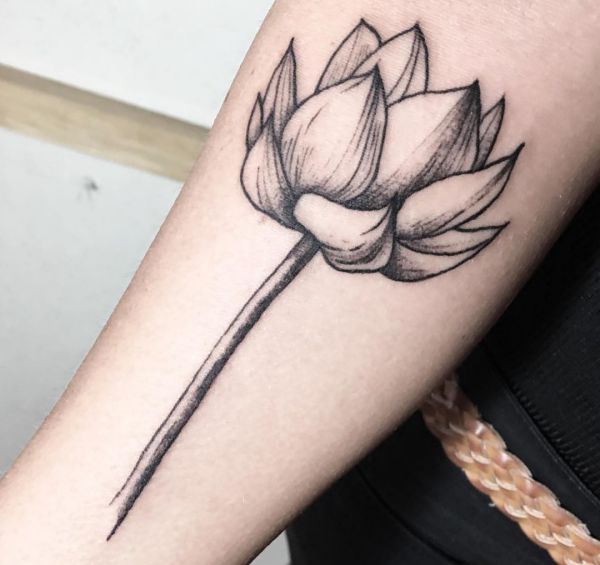 Tatuagem de lótus branco no braço 