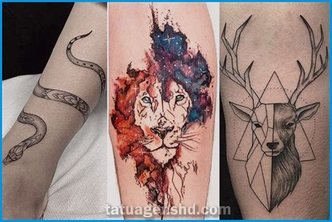 As tatuagens de animais e seu impacto na moda e na arte