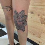 Cuidados essenciais com tatuagens femininas