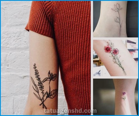 Desenhos minimalistas de tatuagens da natureza