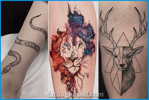 Os melhores lugares para fazer tatuagens de animais