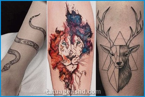 Tatuagens de animais: as melhores escolhas para cada personalidade