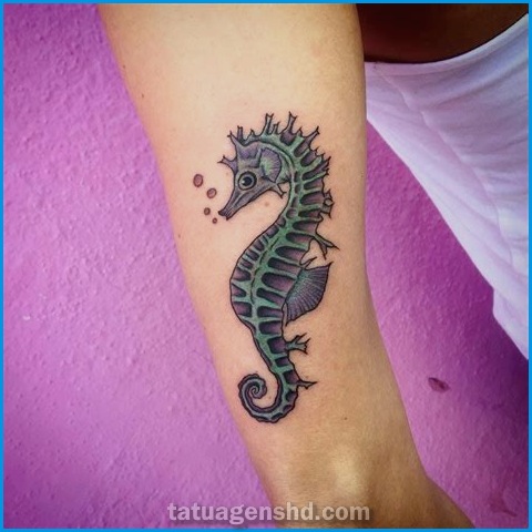 Tatuagens de animais marinhos: beleza da vida subaquática