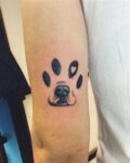 Tatuagens de animais pequenas: ideias e inspirações