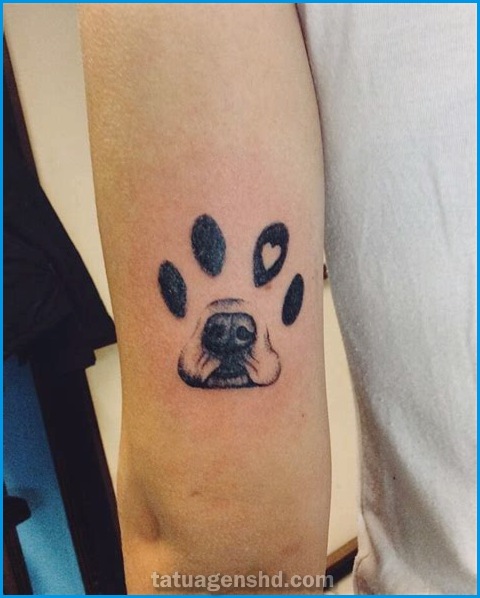 Tatuagens de animais pequenas: ideias e inspirações