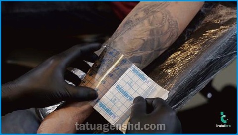 Tatuagens de animais pequenas: ideias e inspirações