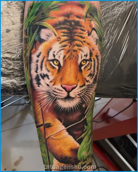 Tatuagens de animais selvagens: ideias incríveis